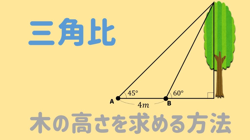 高1数学 木の高さを三角比を用いて求める方法を解説 数スタ